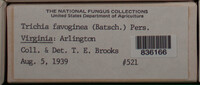 Image Associated With the Occurence